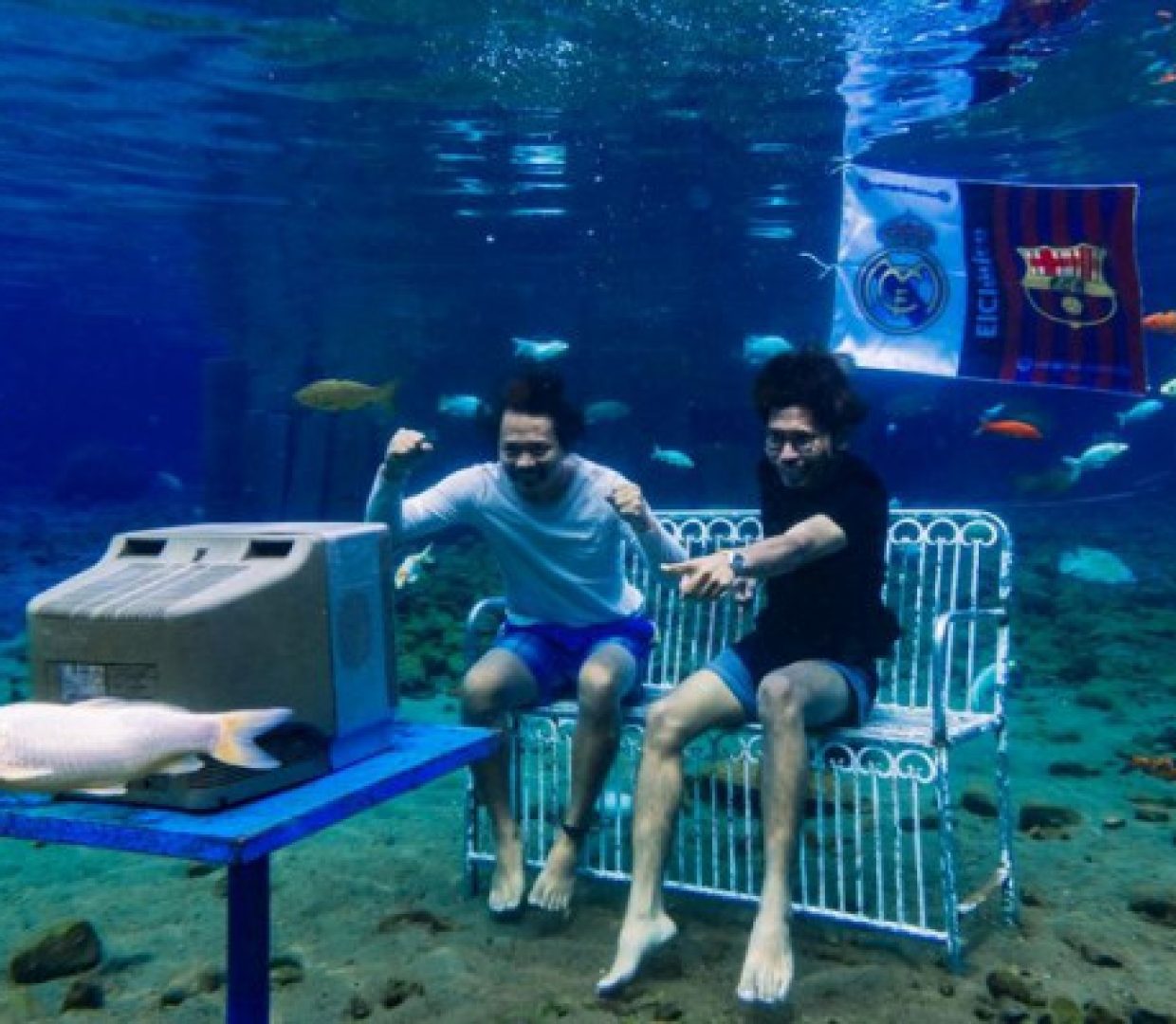 e4783008bd54e2ccef796b9c3d20349e_22081212015425669