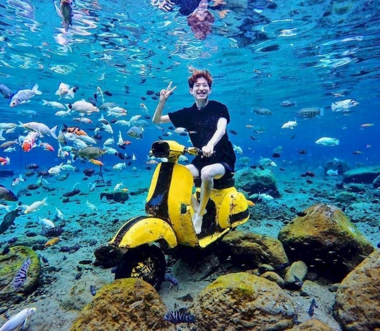 image_750x_65289a374cf71